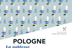 71KLGovzxaL._SL1500_