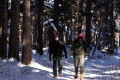 DSC06533