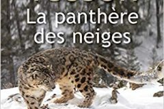 La-panthere-des-neiges