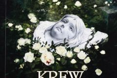 i-wiedzmin-3-krew-elfow