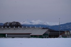 DSC06222