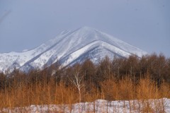 DSC06406